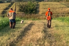 Quail Point Preserve - Bird Hunting in Winchester, KY