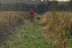 Quail Point Preserve - Bird Hunting in Winchester, KY