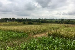 Quail Point Preserve - Bird Hunting in Winchester, KY