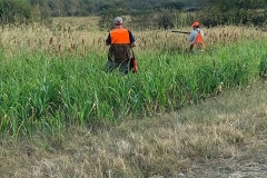 Quail Point Preserve - Bird Hunting in Winchester, KY