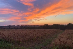 Quail Point Preserve - Bird Hunting in Winchester, KY